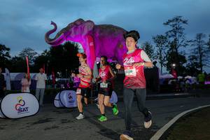 BIB: 
                            <button type="button" onclick="openModal(26529764)" class="btn btn-primary btn-sm float-right btn-popup" data-toggle="modal" data-target=".modal-high-quality">
                        <i class="fas fa-shopping-cart"></i> Add to Cart
                    </button>
                                            <button type="button" onclick="isThisMe(26529764, true)" class="btn btn-success btn-sm float-right btn-popup btn-isme hidden" data-toggle="tooltip" data-placement="bottom" title="นี่คือรูปของคุณใช่ไหม คลิกที่นี่เพื่อเอาเข้าอัลบั้ม">
                        <i class="fas fa-plus"></i> Add to album
                    </button>
                    <button type="button" onclick="isThisMe(26529764, false)" class="btn btn-warning btn-sm float-right btn-popup btn-isnotme hidden">
                        <i class="fas fa-ban"></i> Remove from album
                    </button>